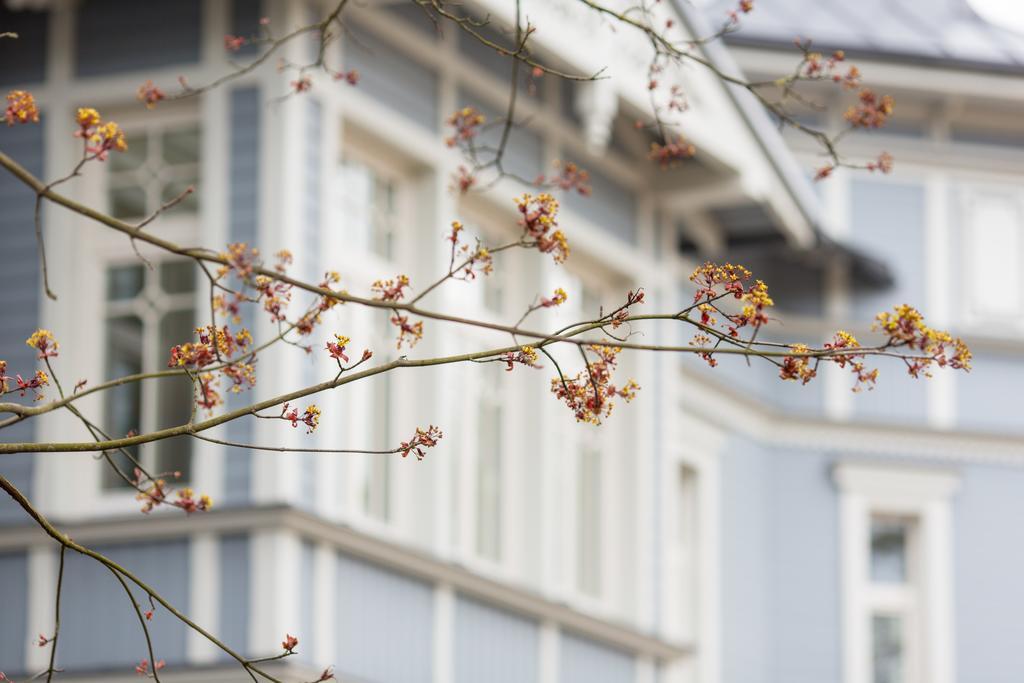 Katrin Apartments Jurkalne Zewnętrze zdjęcie